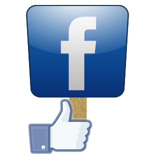 Facebook on a Stick