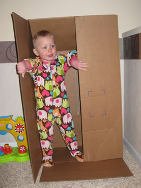 Lily in a box. Lily in a box.