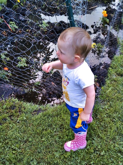 Lily in her rain boots. Lily in her rain boots.