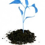 How to shrink your Facebook tabs iFrame when AutoGrow fails you. Facebook AutoGrow