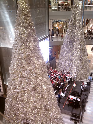 Christmas Trees at the Mall of America