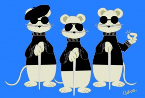 3 Blind Mice